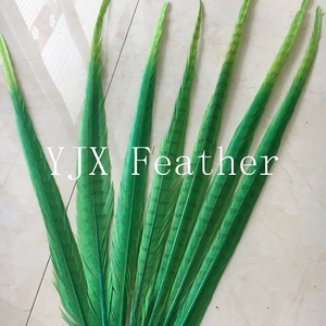 Đầy Màu sắc gà lôi đuôi lông cho Carnival Samba trang phục - Product Image 4