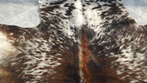 Alfombra de Piel de Vaca - Product Image 4