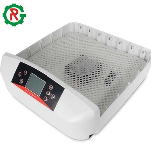 Incubadora de huevos automática, 100 huevos