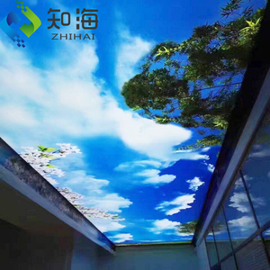 Material ecológico zhihai, design de três dimensionais, nigéria, pvc, tipos de teto