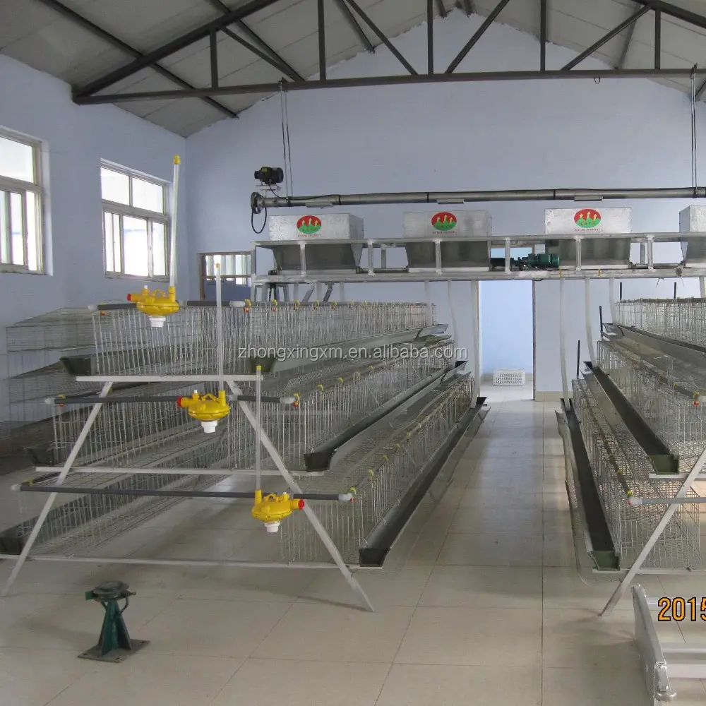 poultry cage with full automatic feeding system