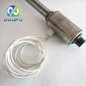 Electric Dual Immersion Heater with Thermostat