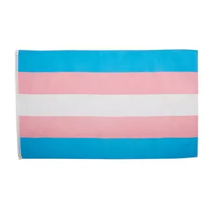 Großhandel Lager 3x5 Ft 90x150 cm Rosa Blau LGBT Stolz Trans Transgender Flagge