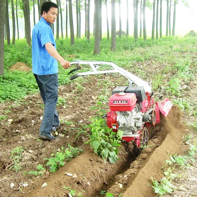 LUKE mini tierra de cultivo máquinas de efecto invernadero en China