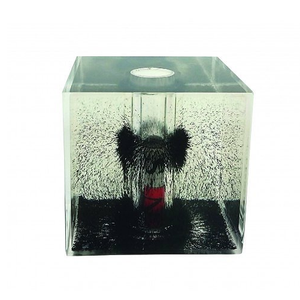 Gelsonlab HSPEM-024 Acrylic Từ Trường Quả Cầu Tuyết Với Sắt Filings & Chất Lỏng Chiết Giang Cho Vật Lý Giáo Dục - Product Image 6