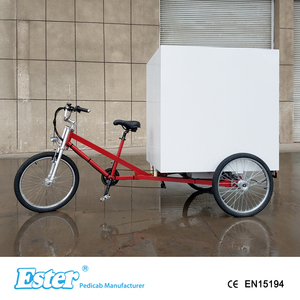 Trike Giao Hàng Điện ESTER 500W Nhà Sản Xuất Trung Quốc Tùy Chỉnh, Hộp Nhôm - Product Image 5