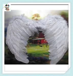 Adult Party Fancy Dress <span class=keywords><strong>Costume</strong></span> colori fatti a mano Feather Angel Wings HPC-0829 - Product Image 2