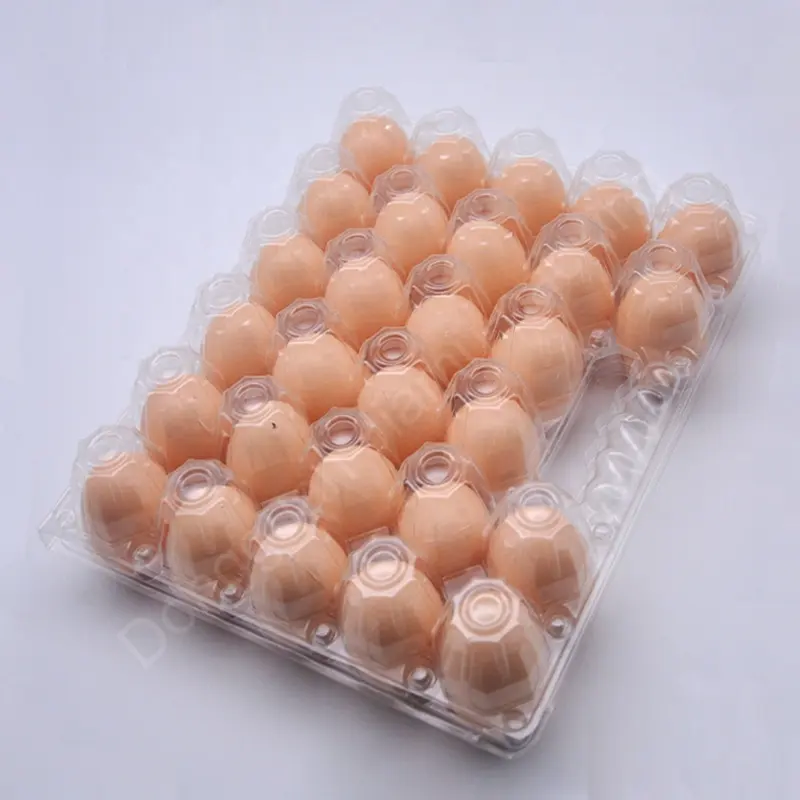 Egg Carton Tray Packaging Hot Sale Plastic for 28 Holes with Handle Blister Box