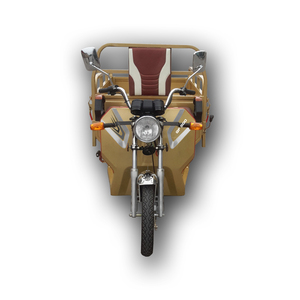 <span class=keywords><strong>EEC</strong></span> Bersertifikat 1000W Motor Listrik 3-<span class=keywords><strong>Wheel</strong></span> <span class=keywords><strong>Loader</strong></span> Kargo Sepeda Roda Tiga dengan Kabin - Product Image 2