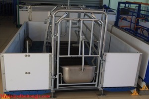 Đôi Lợn <span class=keywords><strong>Farrowing</strong></span> <span class=keywords><strong>Crate</strong></span> Cho Hai Gieo Với PVC Plank Hàng Rào Lồng Động Vật - Product Image 6
