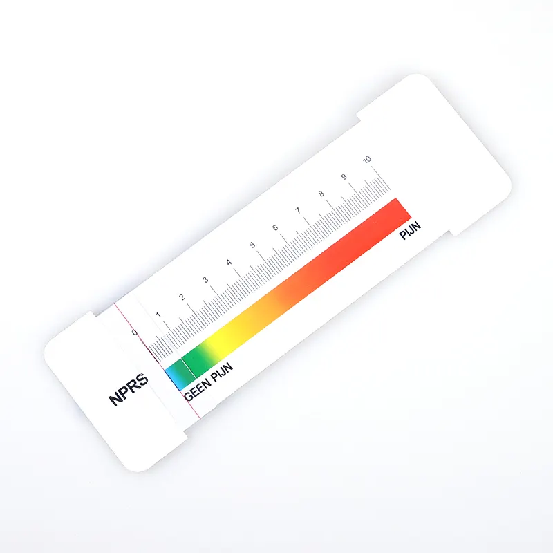 Nursing Профессиональный ПВХ гибкий пластик спецодежда медицинская Vas боль Score весы правитель