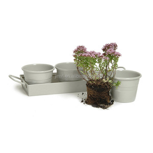 Metal jardín flor macetas <span class=keywords><strong>de</strong></span> hierbas en una bandeja en arcilla (conjunto <span class=keywords><strong>de</strong></span> 3) - Product Image 2