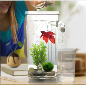 Aquarium de luxe automatique en acrylique, bon marché, prix d'usine en chine, vanne à eau - Product Image 3