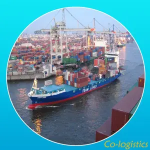 الرخيصة الشحن البحري من فوشان لمصر---- jacky( سكايب: colsales13)
