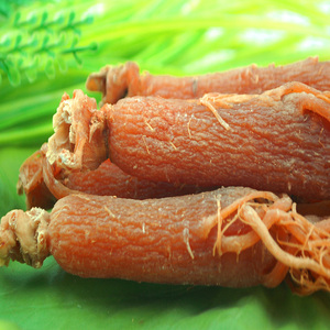 Fabrika fiyat vahşi ve organik Ginseng kökü/kırmızı Ginseng kök toptan - Product Image 3