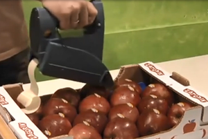 <strong>Hand</strong>-held Self-adhesive Fruit Labeling <strong>Machine</strong> EM22 - Product Image 2