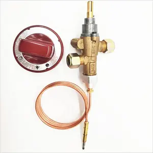 Best Quality LPG NG Gas Brass Gas Safety Valve