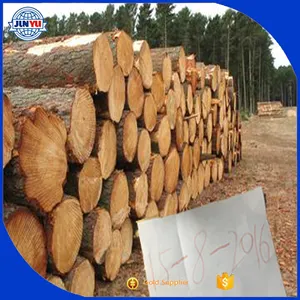 Tali/Doussie/Pachylop/Poplar/Kayu Pinus