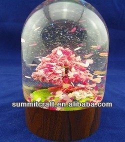 Japonais Cherry Blossom cher globe de neige avec poudrerie - Product Image 1