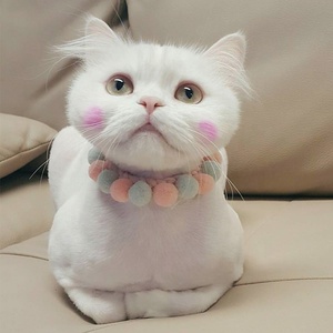Prinsessenstijl Nieuw Aankomen Hot Sale Instagram Koreaanse Japanse Stijl Puur Handgemaakte Pompom Schattige Kat Halsband Voor Huisdieren