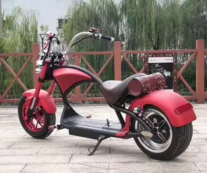 2019 en moda EEC COC CE belgeli M1 halley elektrikli motosiklet scooter