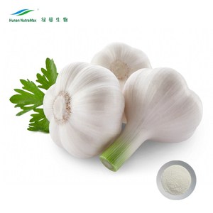 Sağlık gıda takviyesi için sarımsak ampul özü tozu - Product Image 1