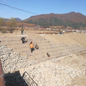 En iyi fabrika galvanizli çift bükülmüş <span class=keywords><strong>Gabion</strong></span> kutusu 2x1x1m / Galfan Malla Gavion <span class=keywords><strong>8x10</strong></span> / PVC kaplı gabyon sepetleri