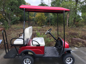 Golf Cart a <span class=keywords><strong>2</strong></span>+<span class=keywords><strong>2</strong></span> Posti a Gas o Elettrico con Molteplici Colori Disponibili e Prezzi all'Ingrosso di Fabbrica - Product Image 6