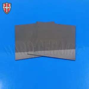 Fornire 100x100 nitruro di Silicio/Si3N4 ceramica substrato/piastra