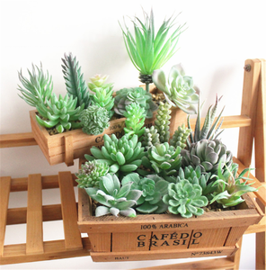 Planta Artificial de Cactus Azul en Plástico, Mini Planta sin Maceta para Decoración del Hogar, Pequeña Planta de Plástico para Decoración de Estilo Desértico - Product Image 2