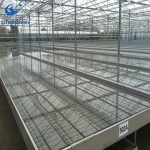 commercial rolling bench industrial hydroponic aquaponics growing systems
