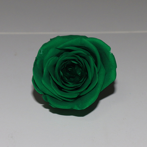 Günstigstes A GRADE Grün 6 teile/schachtel konservierter Rosen kopf 5-6 cm - Product Image 5