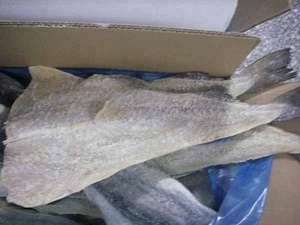 Großhandel Alaska Pollock getrockneten Fischfilet Schmetterling - Product Image 5