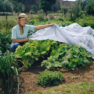 Pp spunbond 작물 농업 식물 덮개 동결 보호 조경 정원 양털 - Product Image 1