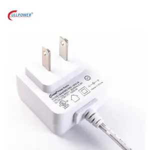 3 jahre Garantie 5 V 6 V 5 W 6 W Japan Japanische PSE genehmigt schalt AC DC Power Adapter