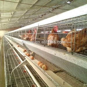 uygun fiyatli ikinci el katmanli tavuk kafesleri satin alin local after sales service alibaba com