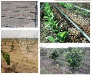 Tubo di gocciolamento professionale del nastro di <span class=keywords><strong>irrigazione</strong></span> 16mm di agricoltura della cina <span class=keywords><strong>per</strong></span> gli alberi