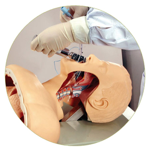 Modèle de tête d'intubation orale et nasale électronique de haute qualité, modèle de tête d'intubation endotrachéale - Product Image 1