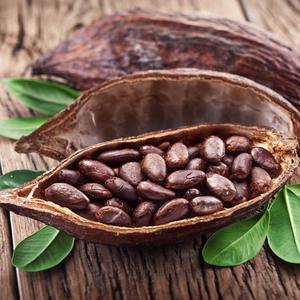 Ventes chaudes <span class=keywords><strong>de</strong></span> poudre <span class=keywords><strong>de</strong></span> <span class=keywords><strong>cacao</strong></span> pure à base <span class=keywords><strong>de</strong></span> polyphénols et <span class=keywords><strong>de</strong></span> thérobromine, extrait <span class=keywords><strong>de</strong></span> <span class=keywords><strong>cacao</strong></span>, graines <span class=keywords><strong>de</strong></span> <span class=keywords><strong>cacao</strong></span> - Product Image 3