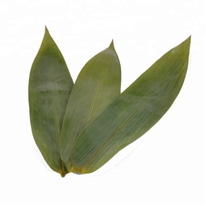 500 pezzi <span class=keywords><strong>di</strong></span> foglie <span class=keywords><strong>di</strong></span> bambù congelate confezionate sottovuoto - Product Image 3