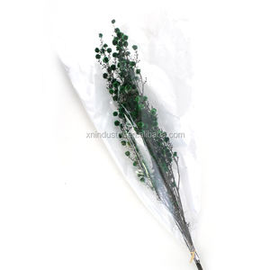 Petit beau matériel de bricolage importé verre d'herbier préservé Graduation Noël Thanksgiving pour la Saint-Valentin - Product Image 6