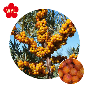 Buy A Grade Fresh Frozen Sea Buckthorn Berries For Horeca - Product Image 3
