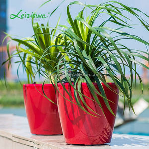 Maceta <span class=keywords><strong>de</strong></span> plástico para bonsái, florero <span class=keywords><strong>de</strong></span> autoriego para sala <span class=keywords><strong>de</strong></span> estar, venta al por mayor - Product Image 3