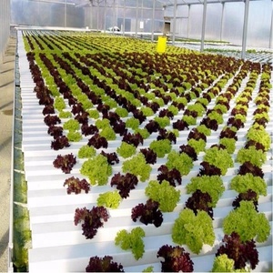 Nft idroponica grondaie sistema nft <span class=keywords><strong>canalone</strong></span>/crescere/vassoi - Product Image 4