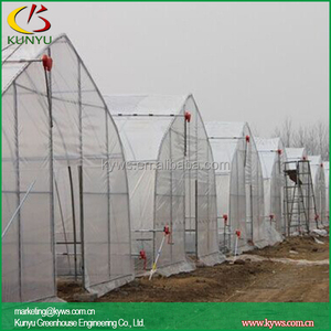 الدفيئة الزراعية ذات النفق العالي منخفضة التكلفة لزراعة الطماطم والخضروات والفواكه - Product Image 6