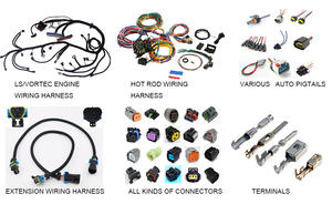 ApplicableにLand Rover、Toyota、Nissan、BMW、Volkswagen、Mazda、Sap、493エンジンハーネスE049366000117 - Product Image 6