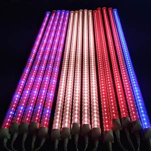 G13 T12 40W 6000 שעות להשתמש חיים <span class=keywords><strong>Led</strong></span> לגדול אור עבור צמח - Product Image 3