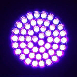 Ультрафиолетовый фонарик с УФ-подсветкой - Product Image 6