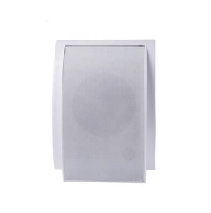 <span class=keywords><strong>2025</strong></span>工厂Silm壁挂式专业扬声器商用 - Product Image 1