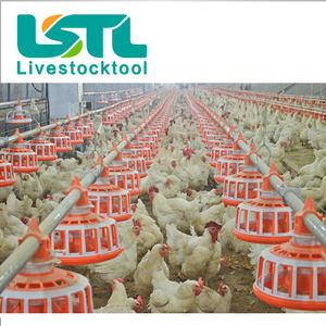 Línea de alimentación de aves de corral, sistema automático de alimentación y bebedero para <span class=keywords><strong>pollos</strong></span> - Product Image 2